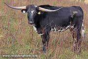 25J_5409.jpg