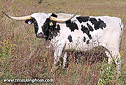 25J_5451.jpg