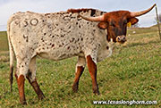 25J_5536.jpg