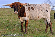 25J_5553.jpg