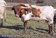 26D_0049.jpg