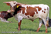 26D_0430.jpg - PJ
