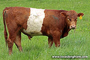 26D_0713.jpg