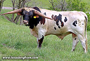 26D_0766.jpg
