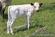 26D_1140.jpg