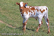 26D_1284.jpg - Silent Test