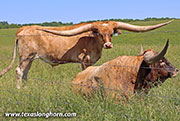 26D_1458.jpg - Point Aloof