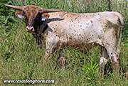 26D_2000.jpg