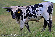 26D_2046.jpg