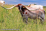 26D_2136.jpg - Julie