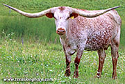 26D_2235.jpg - Shining Iron