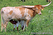 26D_2326.jpg - Wicked Shot