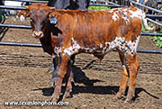 26D_2855.jpg