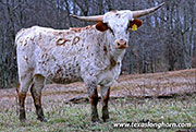 26J_0068.jpg