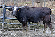 26J_0098.jpg