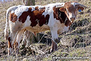 26J_0387.jpg