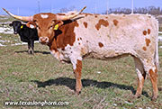 26J_0482.jpg