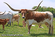 26J_1495.jpg - Marked Win