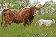 26J_1757.jpg