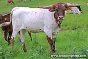 26J_2115.jpg - Jam Visage