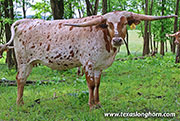 26J_2252.jpg - 50 Winks