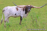 26J_2393.jpg