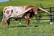 Sire - Bond - Photo Number: 26J_2440.jpg