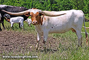 26J_2648.jpg - Up & Away