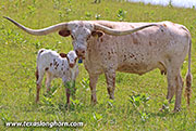 26J_3010.jpg