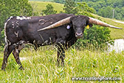 26J_3042.jpg - Clayton Delaney