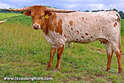 50 Cuts - I-296094 - 26J_3118