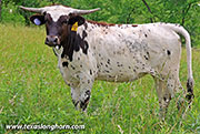 26J_3171.jpg