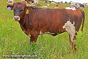 26J_3186.jpg