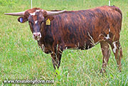 26J_3190.jpg