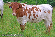 26J_3197.jpg