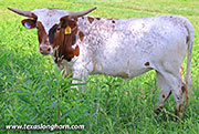 26J_3231.jpg