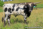 26J_3570.jpg