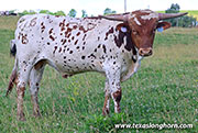 26J_3635.jpg