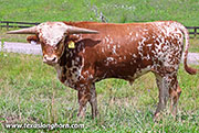 26J_3689.jpg
