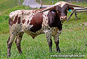 26J_3695.jpg