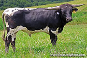 26J_3698.jpg
