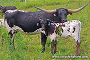 26J_3756.jpg
