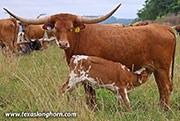 26J_3916.jpg
