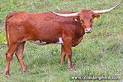 26J_3936.jpg