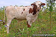 26J_3959.jpg