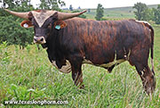 26J_4109.jpg