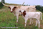 26J_4117.jpg