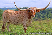 26J_4470.jpg