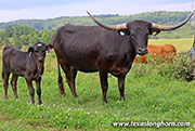 26J_4487.jpg