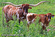 26J_4497.jpg